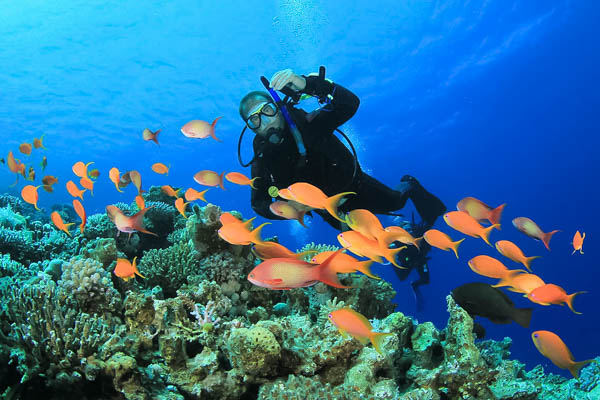 Master Diving Courses